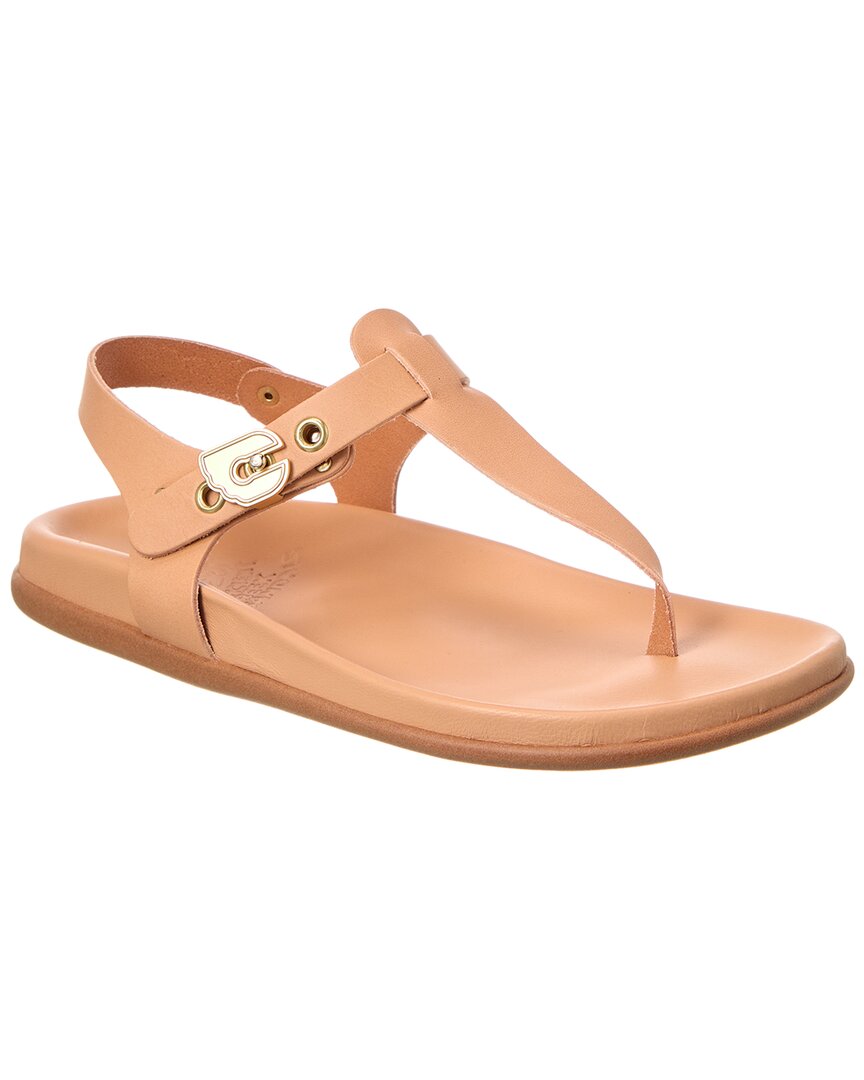 Ancient Greek Sandals Alki Leather Sandal – Bluefly