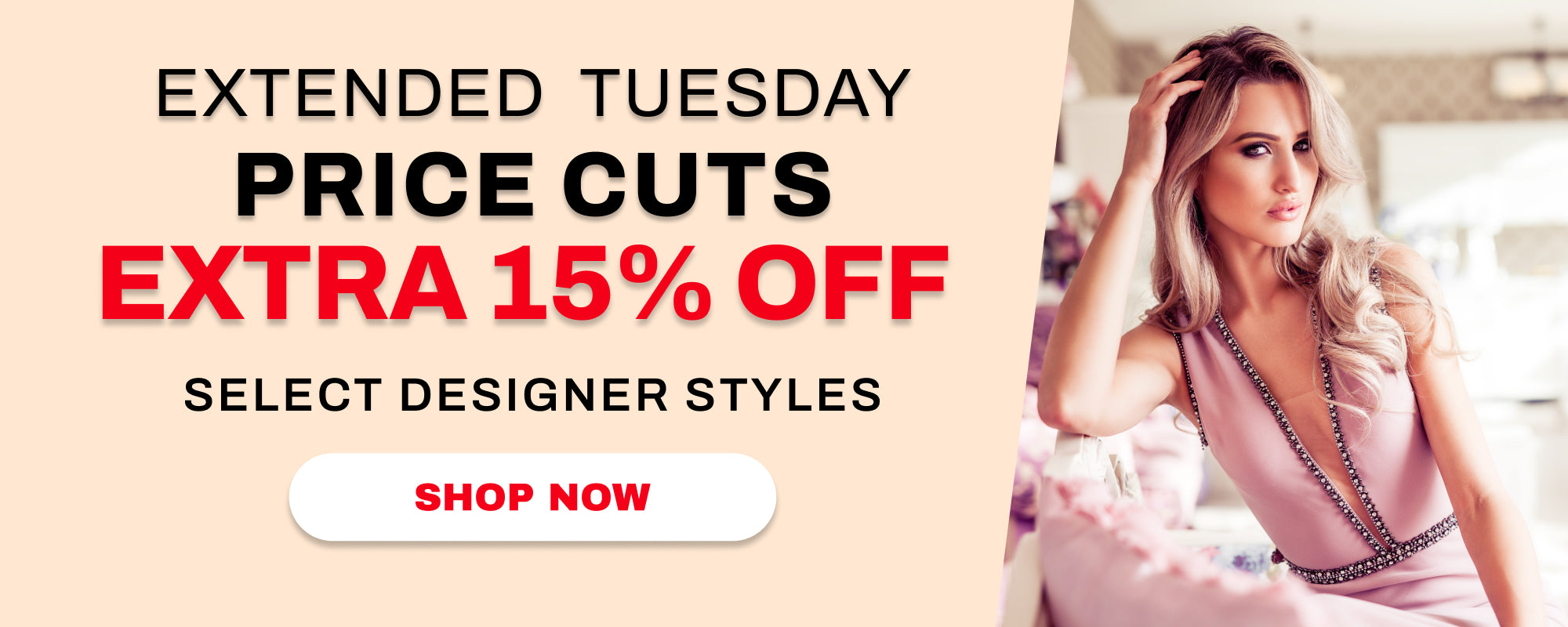 tuesday price cuts 15 percent off