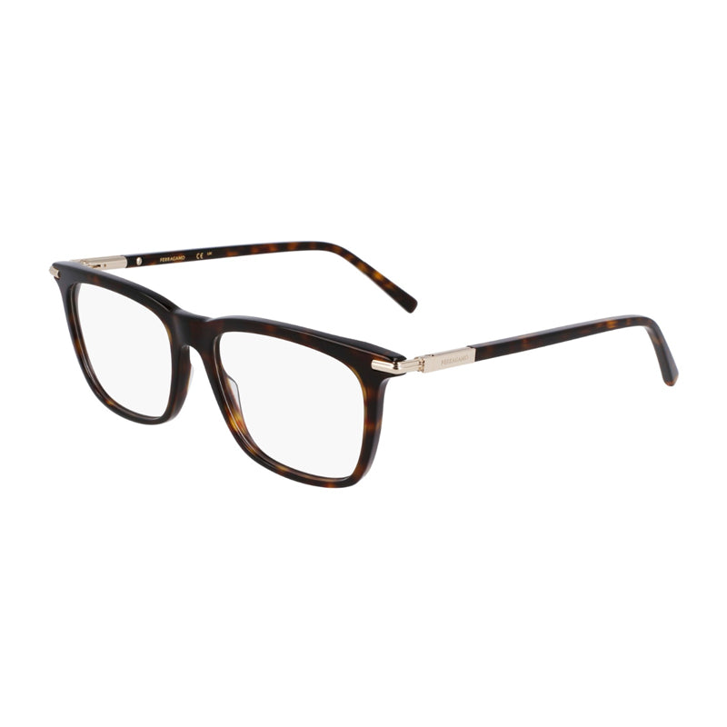 Salvatore Ferragamo ,  Frame and  Lens