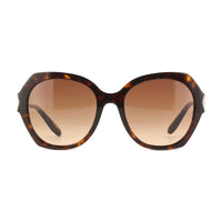 Chopard Sunglasses Round Full Rim, Shiny Brown Havana/Gold Frame and Brown Gradient Lens SCH354V0743