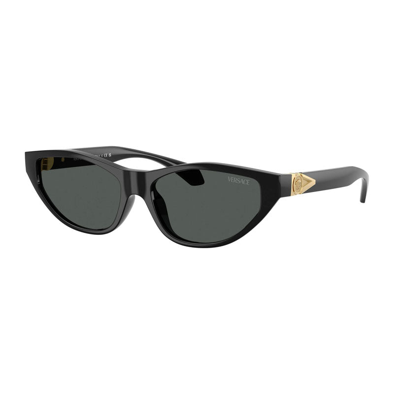 Versace Versace Sunglasses Cat Eye Full Rim, Shiny Black Frame and Dark Grey Lens VE4491UGB1/87
