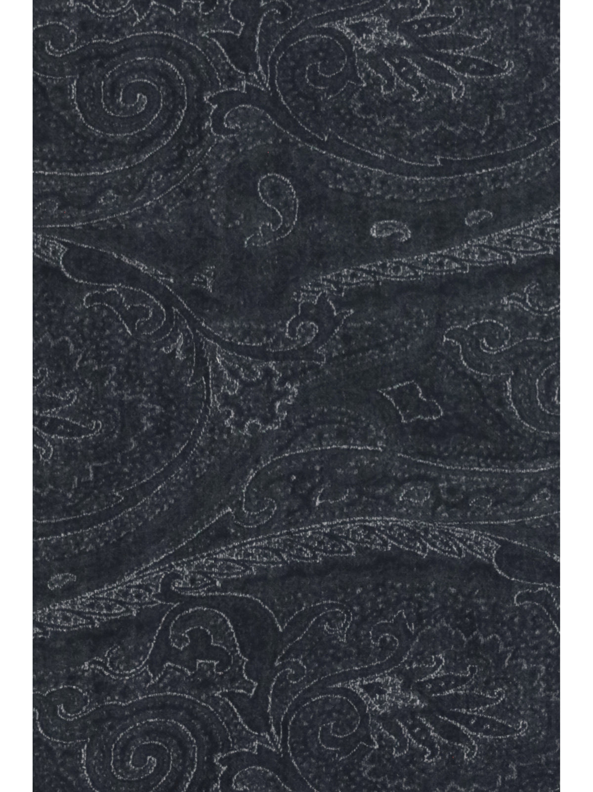 ETRO Etro Men Paisley Scarf