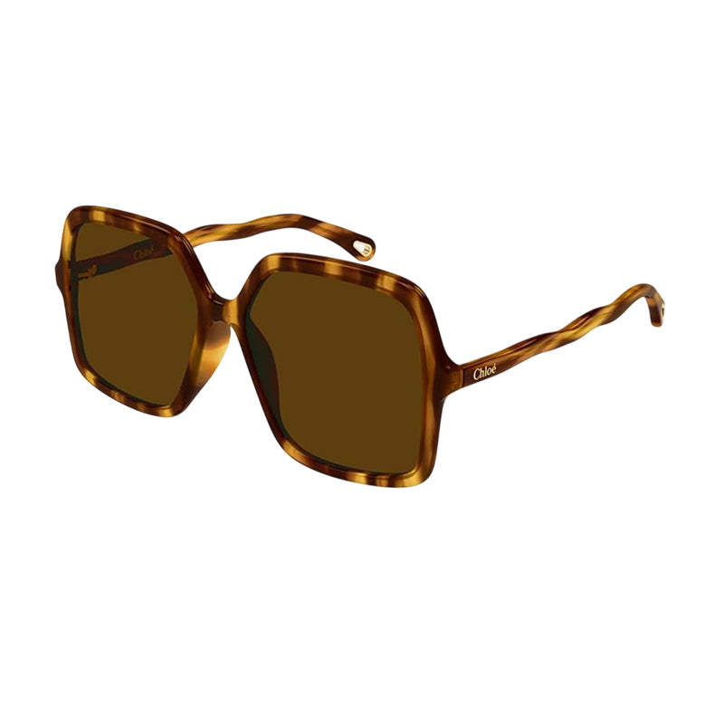 Chloe Chloe Sunglasses Square Full Rim, Havana Frame and Brown Lens CH0086S005