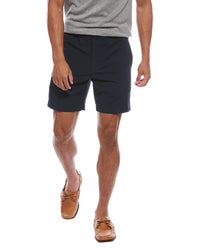 Theory Larin Short