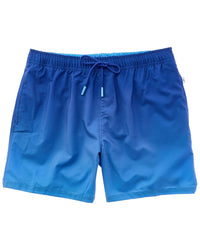 Vintage Summer Gradient Performance Volley Swim Short
