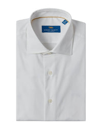 Robert Talbott Robert Talbott Reynolds Solid Poplin Dress Shirt