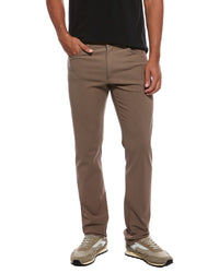Theory Raffi Pant