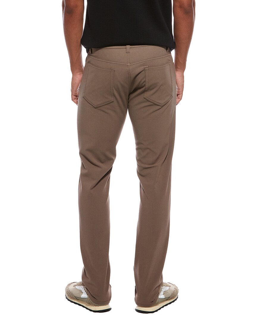 Theory Raffi Pant