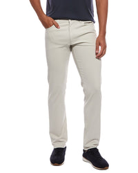 Theory Raffi Pant