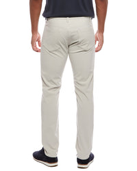 Theory Raffi Pant