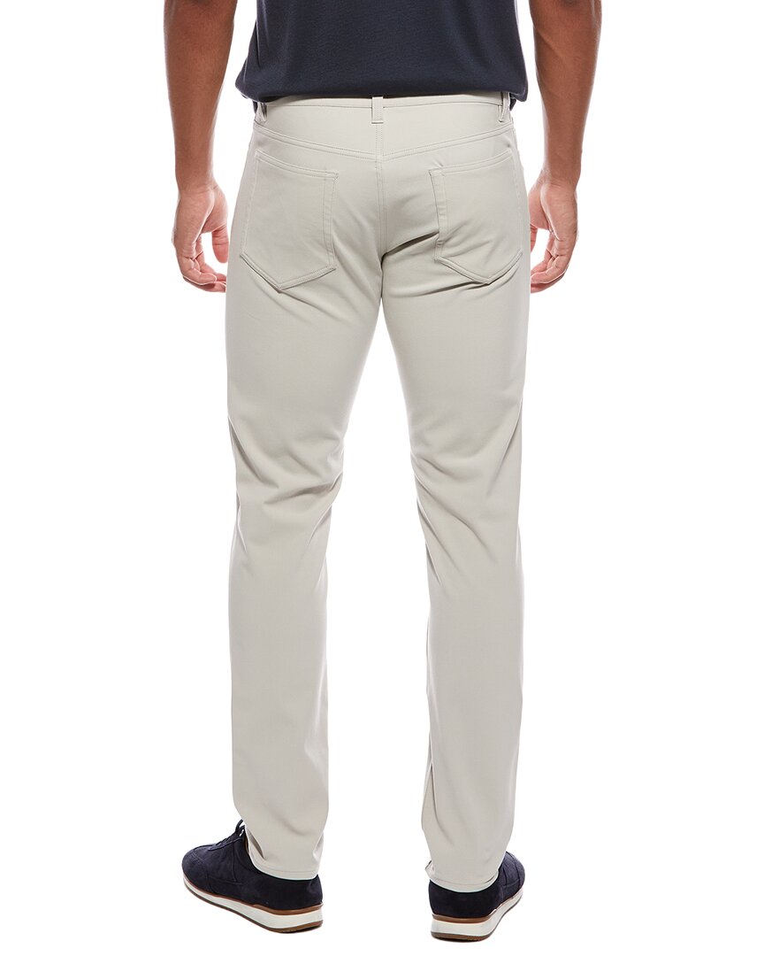 Theory Raffi Pant