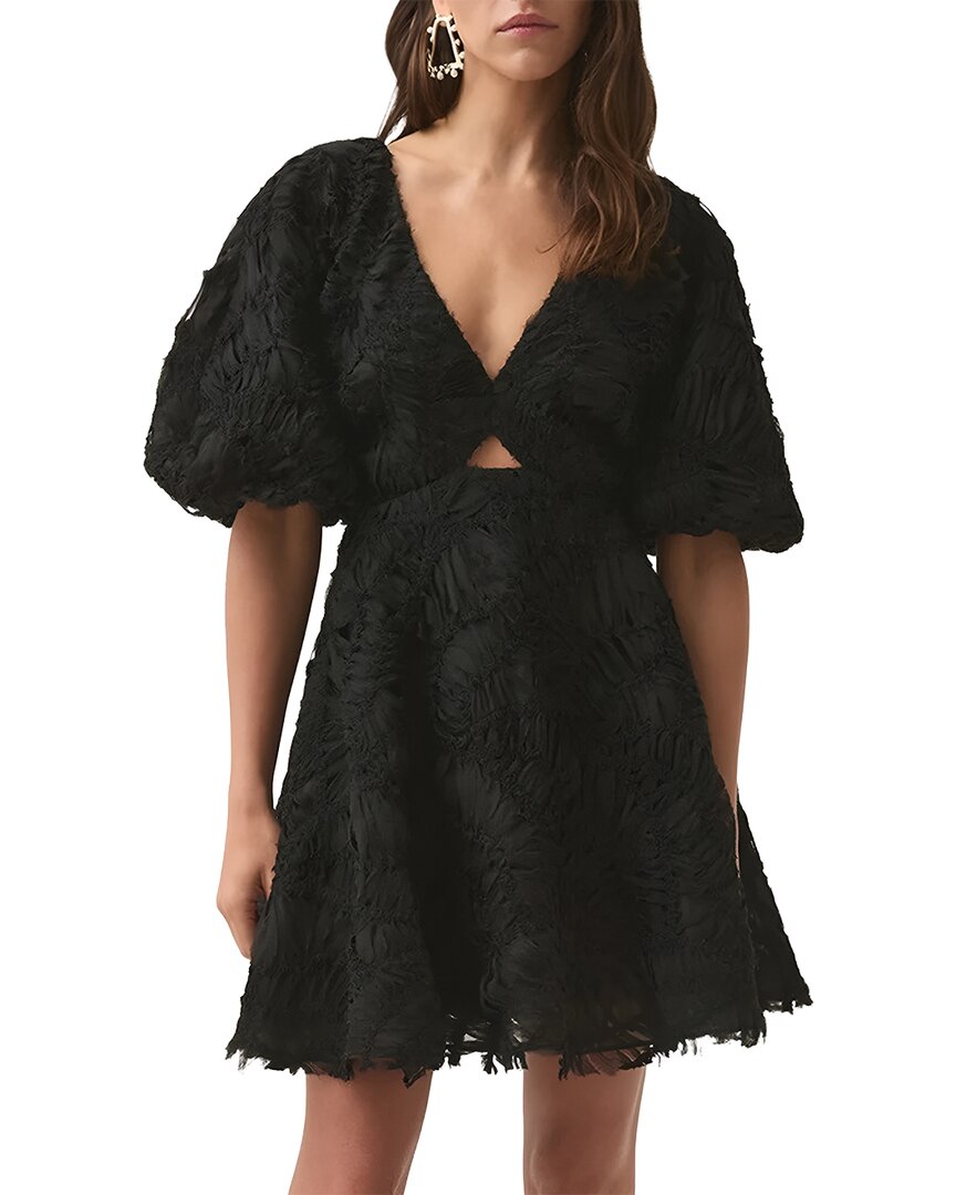 Mira Richi Solid Mini Dress