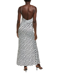 Ipponelli Maxi Dress
