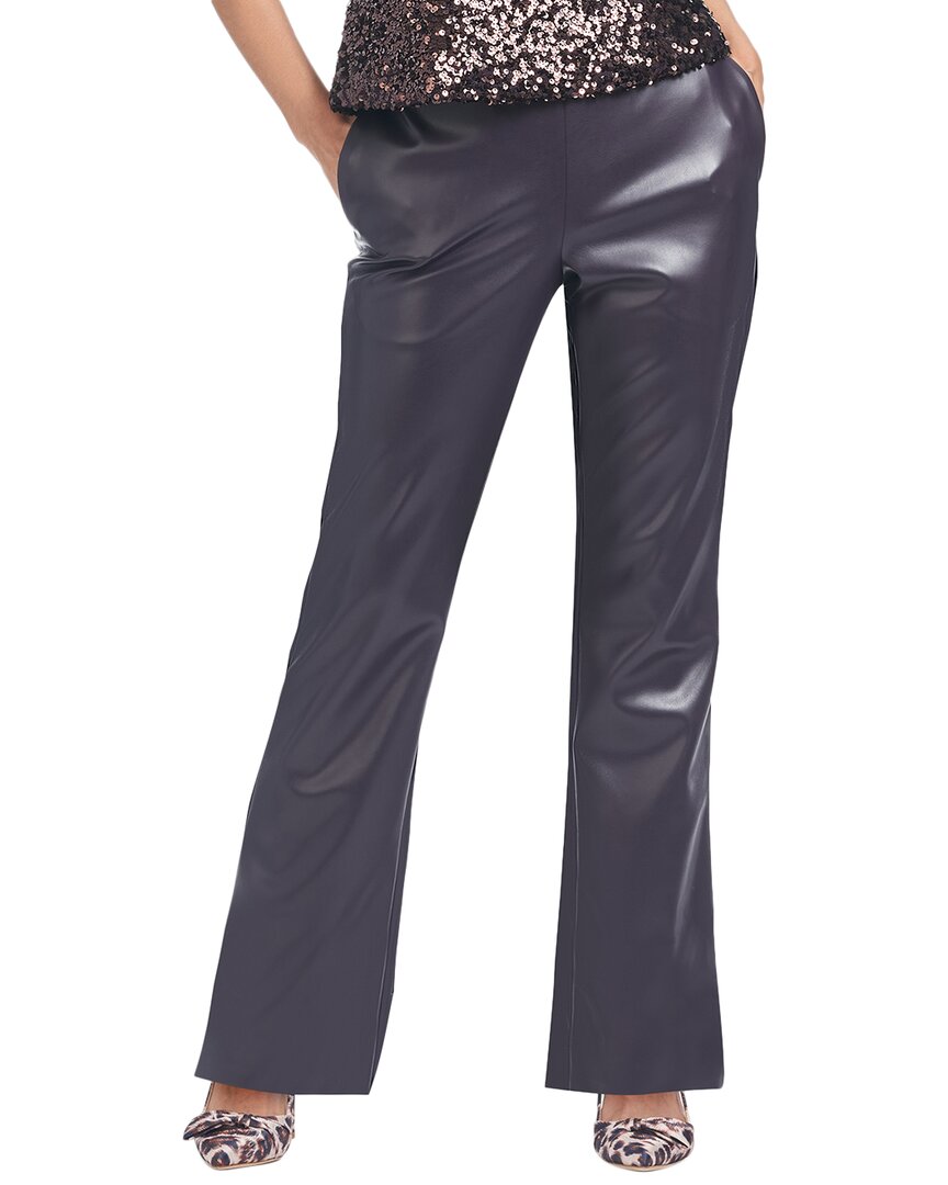 Sachin & Babi Kitty Pant