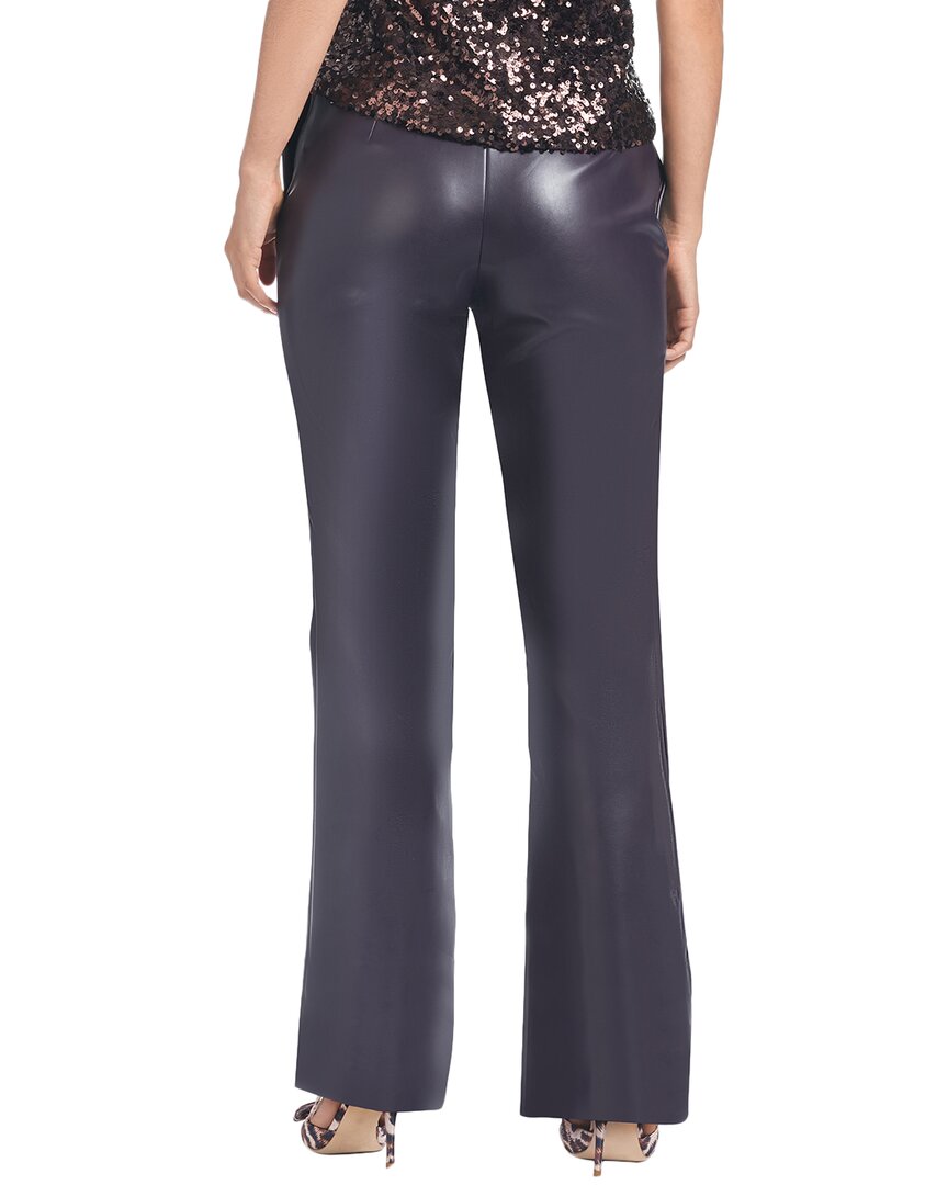 Sachin & Babi Kitty Pant