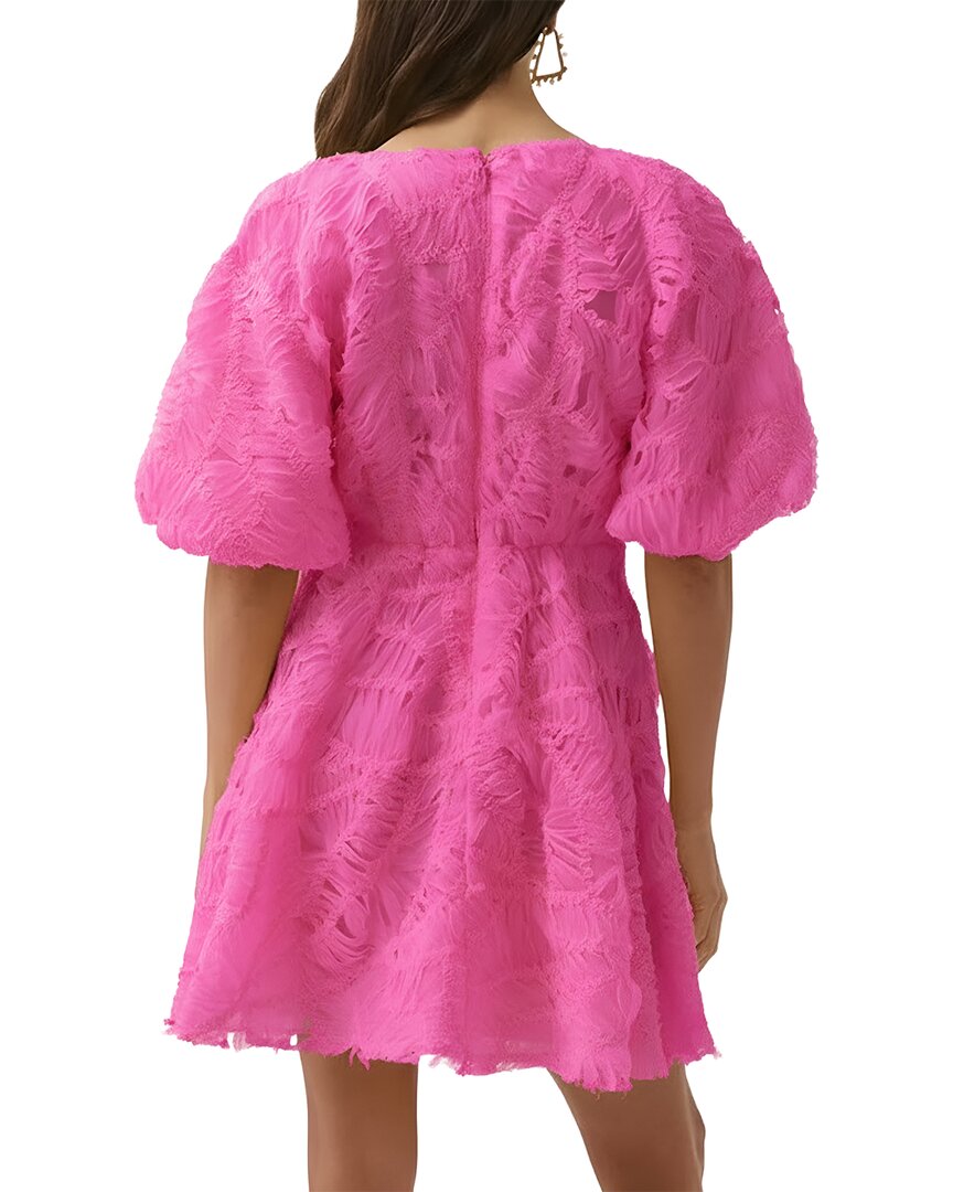 MIRA RICHI Mira Richi Solid Mini Dress