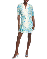 Taylor Printed Mini Dress