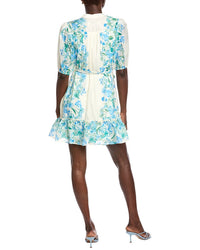 Taylor Printed Mini Dress