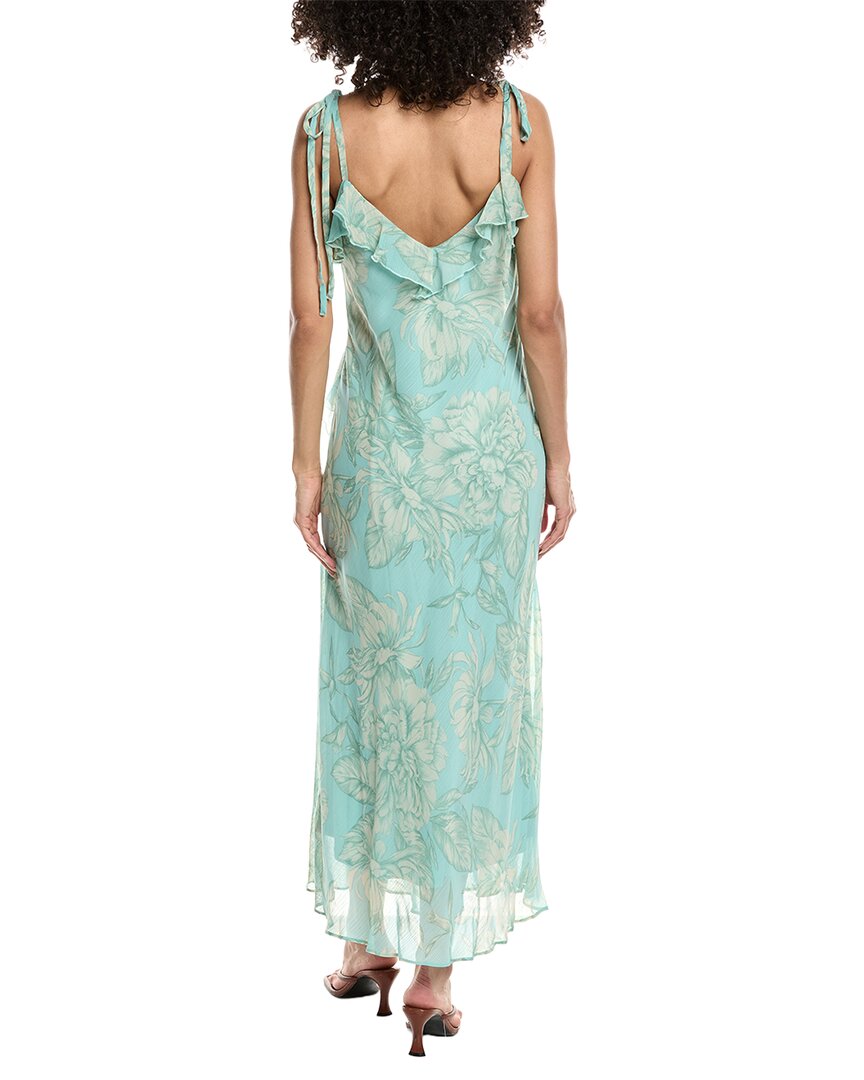 Taylor Sleeveless Floral Printed Maxi Dress