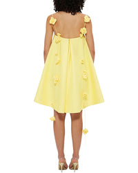 Ariel Tesoro Ariel Tesoro Mini Dress