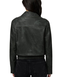 Bernardo Short Jacket