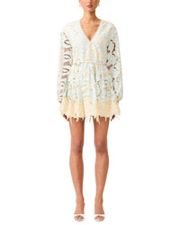 ELLIATT Elliatt Megan Long Sleeve Mini Dress