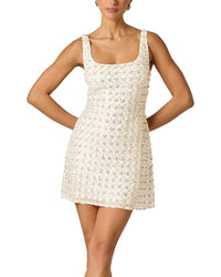 Adrianna Papell Fully Beaded Mini Dress