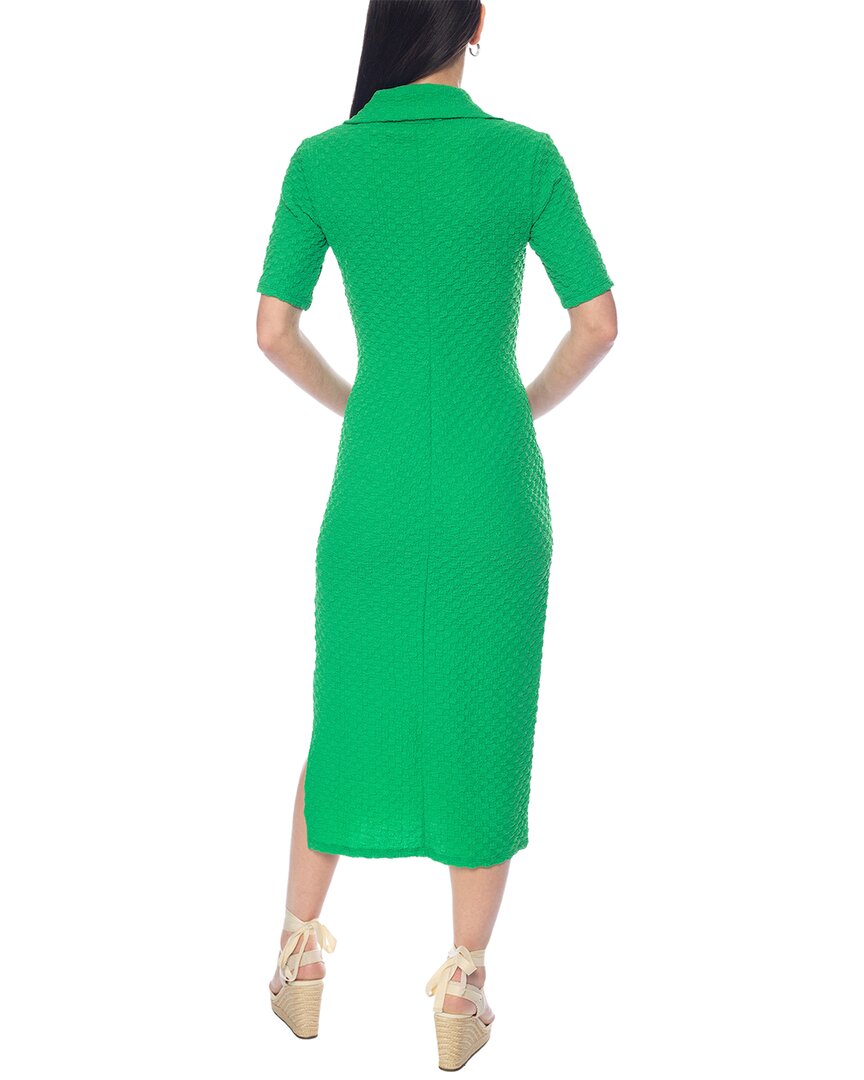 Tash + Sophie Elbow Sleeve Collared Dress