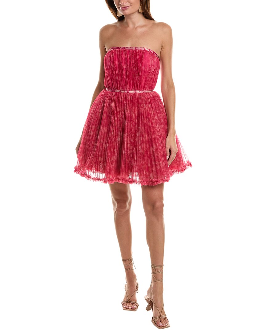 Hutch Lenzy Pleated Tulle Mini Dress