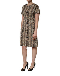 Dolce & Gabbana Brown DG Logo Chain Short-Sleeve Sheath Women's Dress
