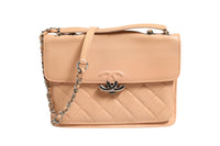 Chanel Goatskin Quilted Small CC Box Flap Women's Bag (Authentic Pre-Loved)