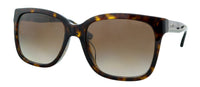 Emporio Armani Havana Square 0EA4042F 502613 Sunglasses