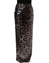 Dolce & Gabbana Dolce & Gabbana Brown Sequinned Embellished PencilCut Women's Skirt