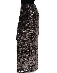 Dolce & Gabbana Dolce & Gabbana Brown Sequinned Embellished PencilCut Women's Skirt