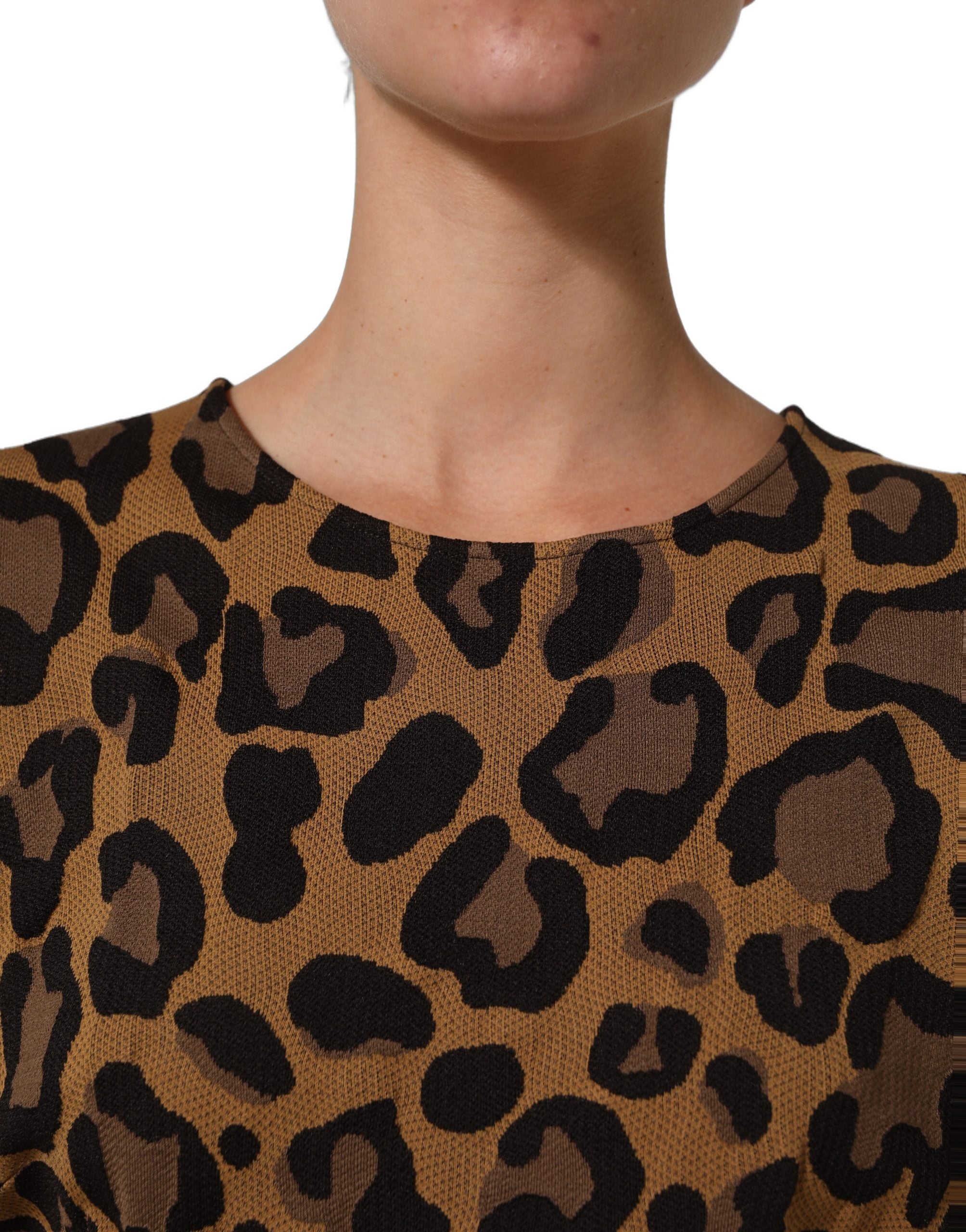 Dolce & Gabbana Dolce & Gabbana Brown LeopardPrint Flared A-line Mini Women's Dress