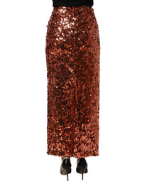 Dolce & Gabbana Dolce & Gabbana Bronze Sequin HighWaist PencilCut Midi Women's Skirt