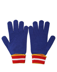 Dolce & Gabbana Dolce & Gabbana Blue Striped Wool DG Logo Embroidered Men's Gloves