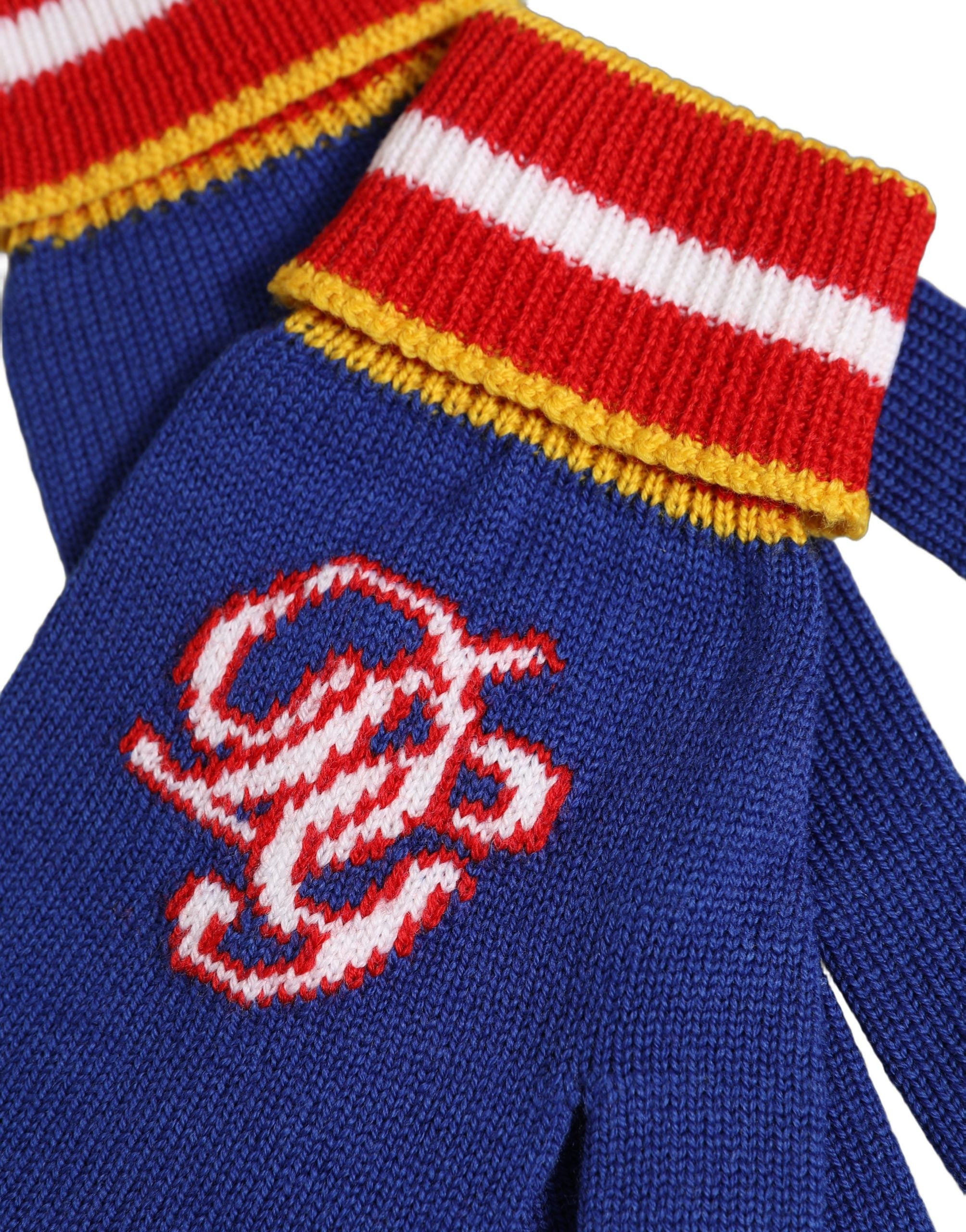Dolce & Gabbana Dolce & Gabbana Blue Striped Wool DG Logo Embroidered Men's Gloves
