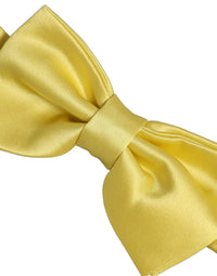 Dolce & Gabbana Dolce & Gabbana Men Yellow 100% Silk Adjustable Neck Papillon Bow Men's Tie