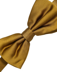 Dolce & Gabbana Dolce & Gabbana Men Mustard 100% Silk Adjustable Neck Papillon Bow Men's Tie