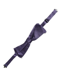 Dolce & Gabbana Dolce & Gabbana Men Purple 100% Silk Adjustable Neck Papillon Bow Men's Tie