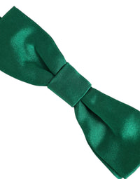 Dolce & Gabbana Dolce & Gabbana Men Green 100% Silk Adjustable Neck Papillon Bow Men's Tie
