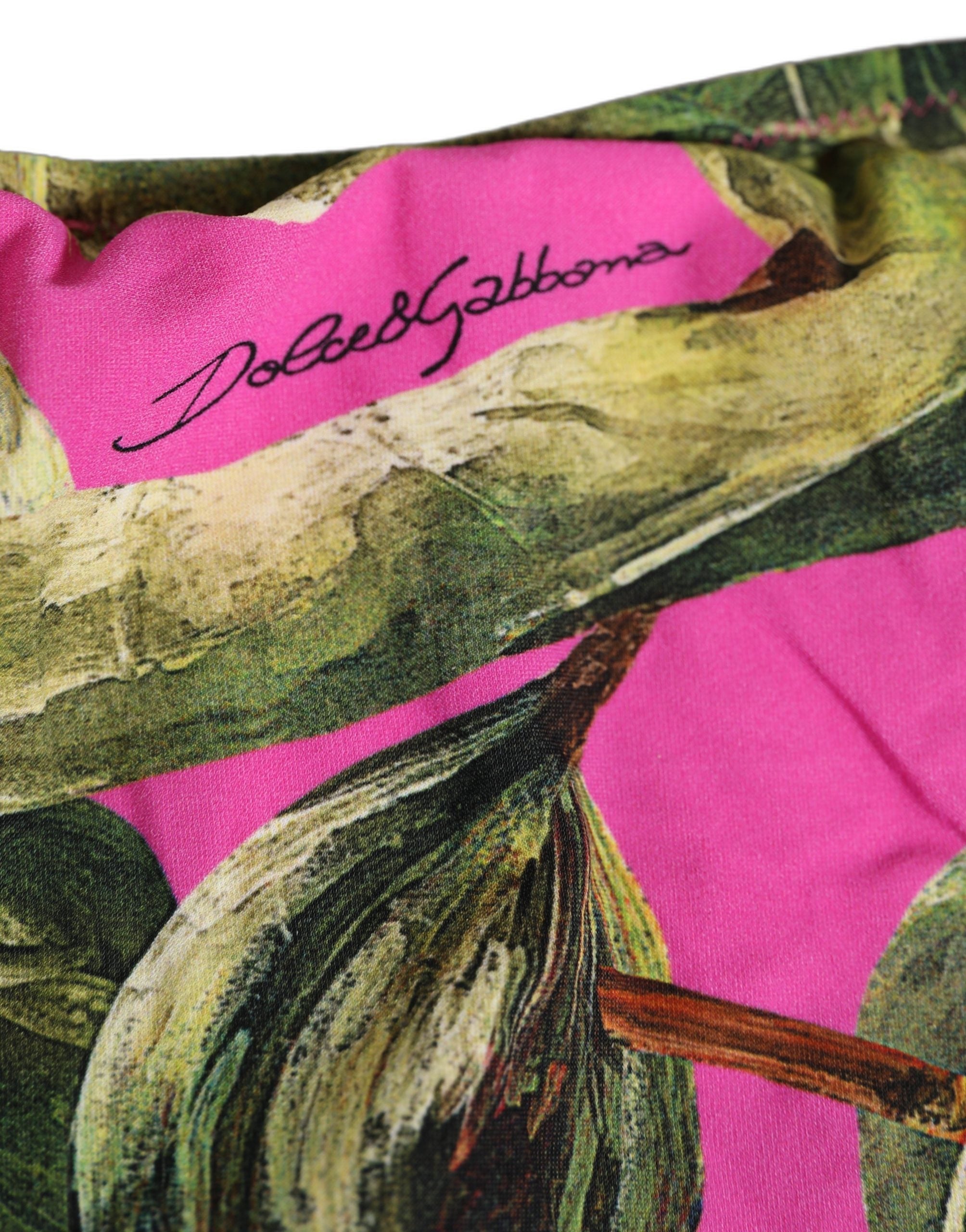 Dolce & Gabbana Dolce & Gabbana Fuchsia Pink Fig Print Beachwear Bikini Women's Bottom