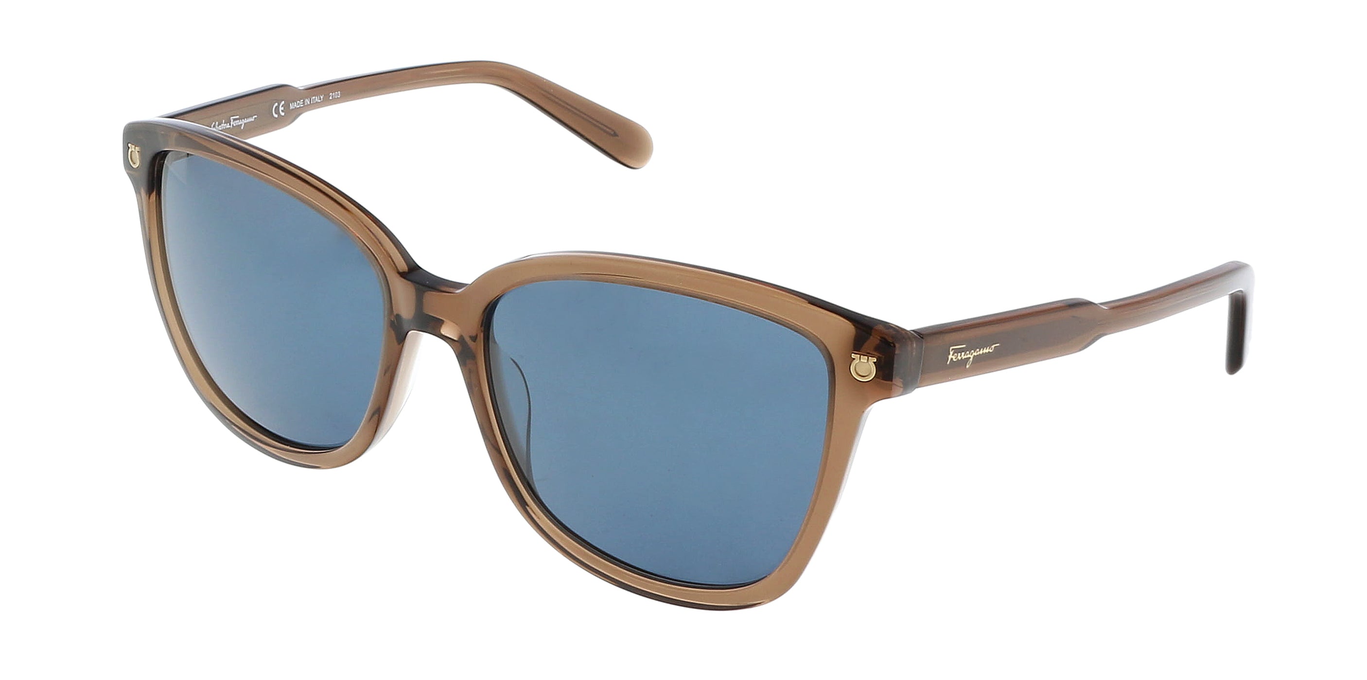 Salvatore Ferragamo SF815S 210 Modified Rectangle Full Rim Sunglasses