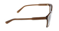 Salvatore Ferragamo SF815S 210 Modified Rectangle Full Rim Sunglasses