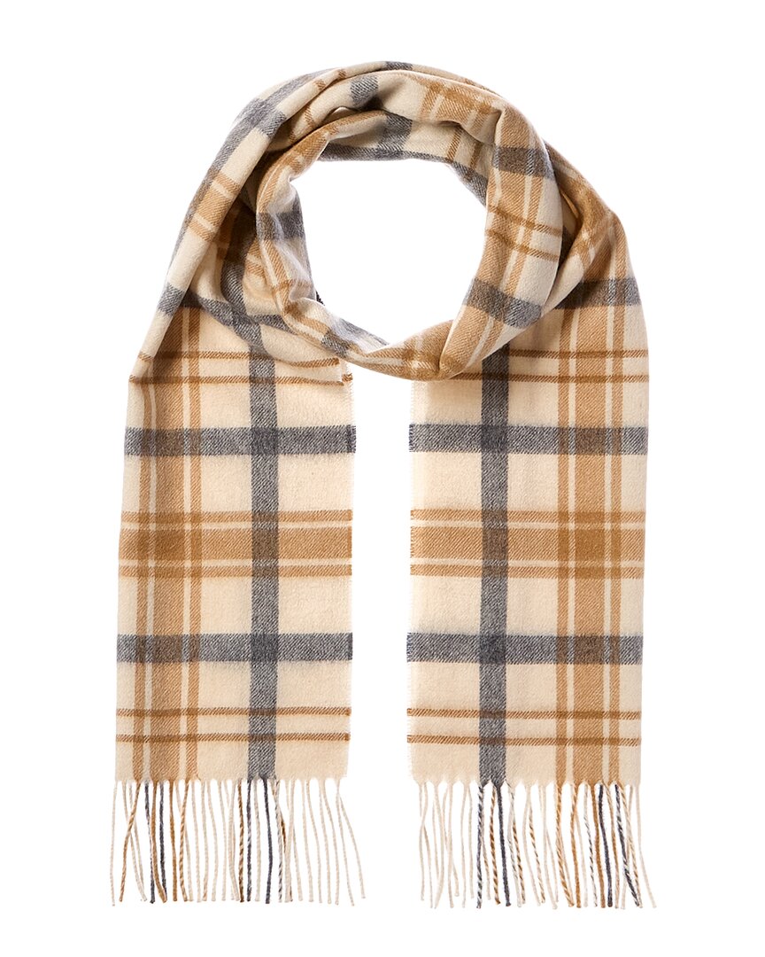 Amicale Cashmere Scottish Plaid Cashmere Scarf Brown Multi
