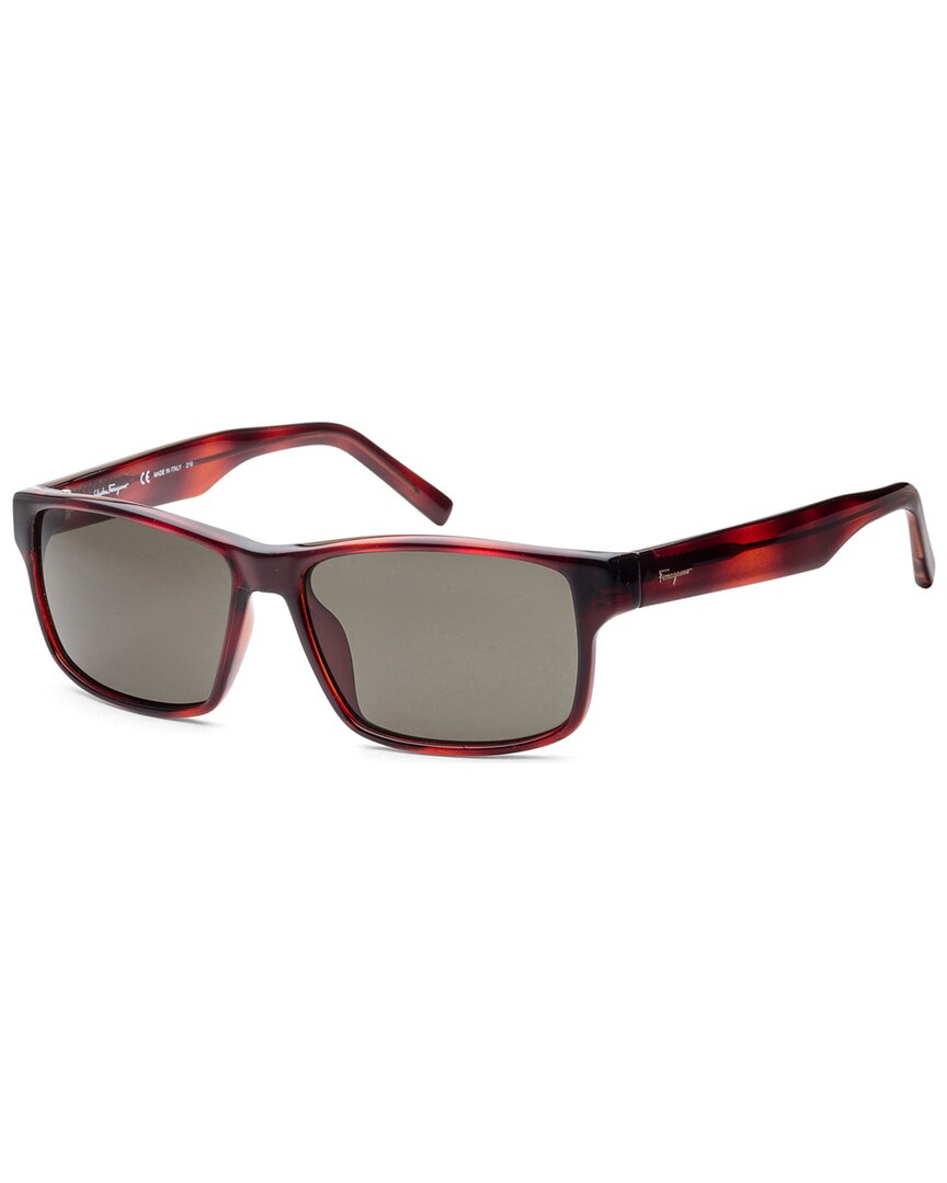Ferragamo Ferragamo Women's Sf960s 58Mm Sunglasses