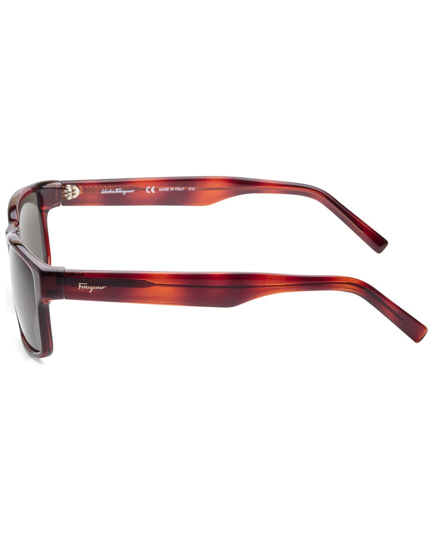 Ferragamo Ferragamo Women's Sf960s 58Mm Sunglasses