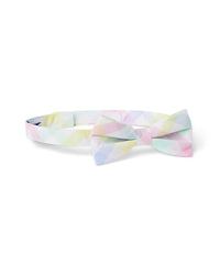 Janie And Jack Gingham Bowtie