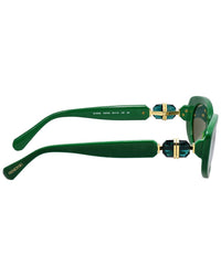 Swarovski Women's Sk6002 53Mm Sunglasses